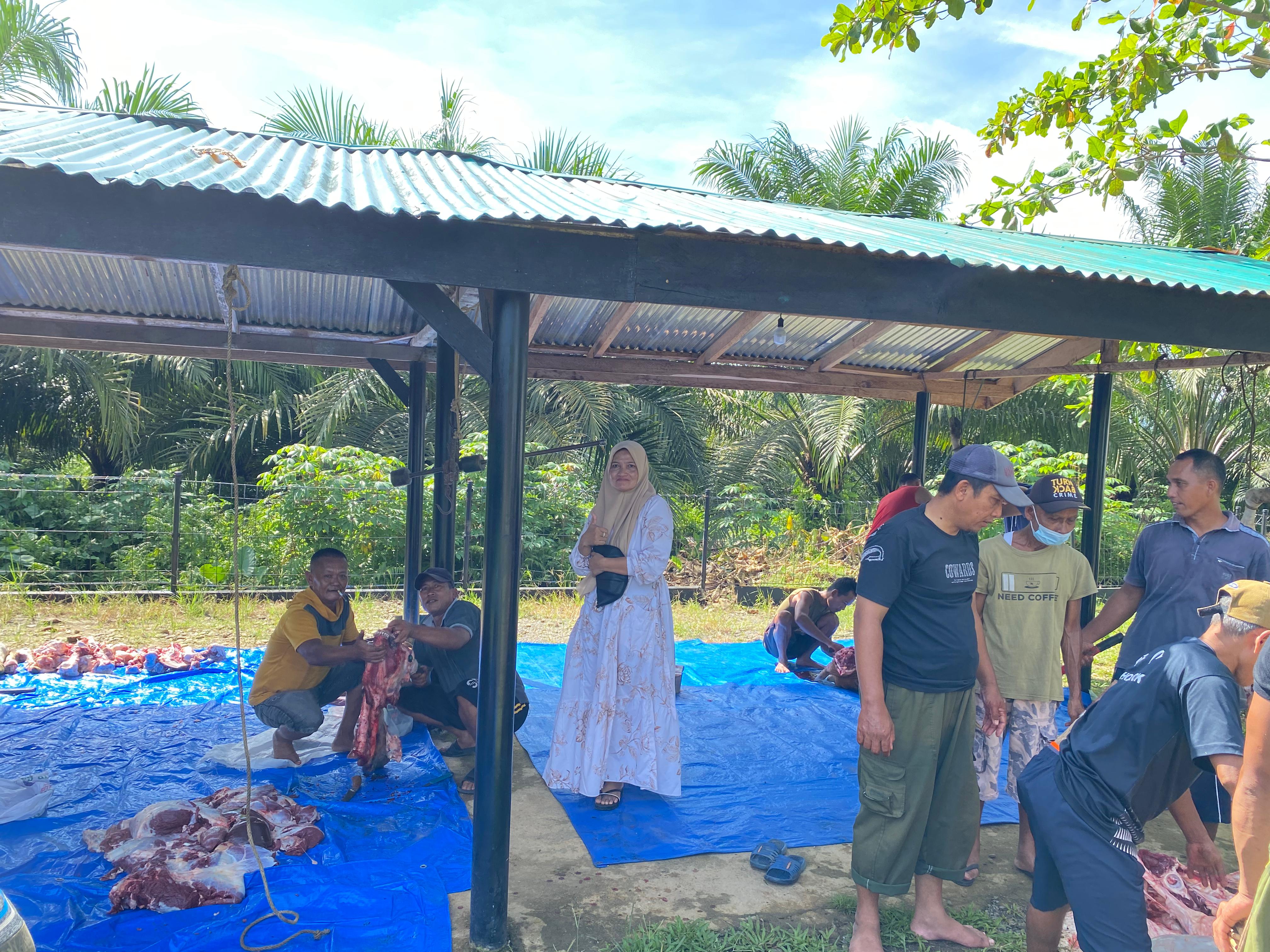 PENYEMBELIHAN HEWAN KURBAN IDUL ADHA DI DESA PERKEBUNAN BUNGARA BERSAMA IBU KEPALA DESA DAN KETUA BPD