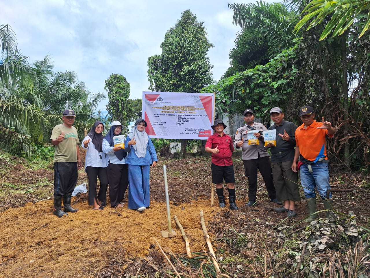 PROGRAM 1 DESA 1 POLRI ,PENANAMAN BIBIT JAGUNG DI LAHAN KETAPANG DESA PERKEBUNAN BUNGARA